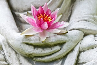 stone hands holding pink lotus