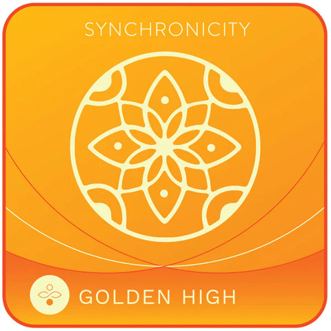 Synchronicity High-Tech Meditation