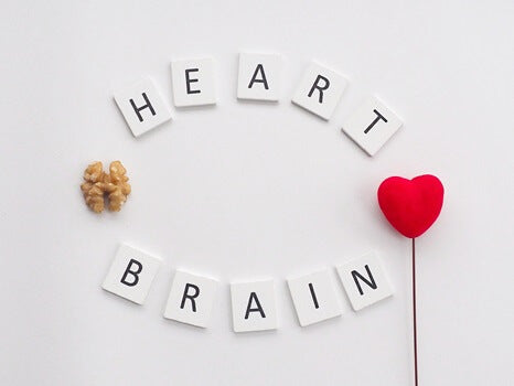 image with red heart on right, walnut on left representing brain on white background