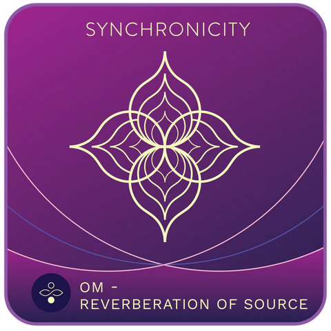 Synchronicity High-Tech Meditation