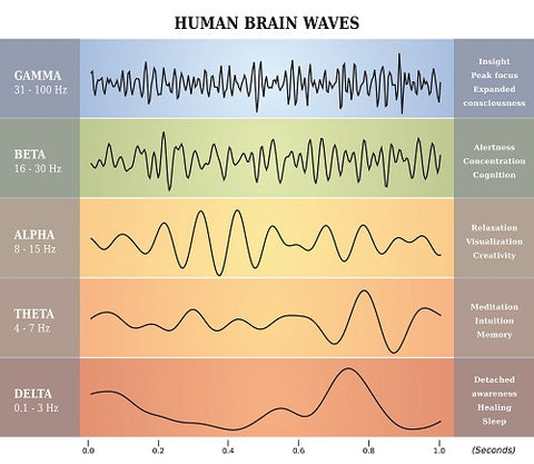 Colorful chart of different brain waves