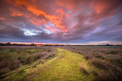 Bright orange sunset over a meandering path