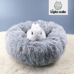 Bunny Bed - Bed for rabbit
