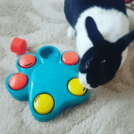 Toys for rabbit puzzle