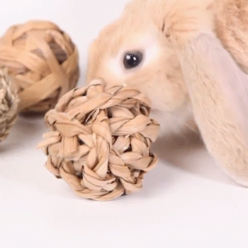 Rabbit chew balls - Rabbit chew toy