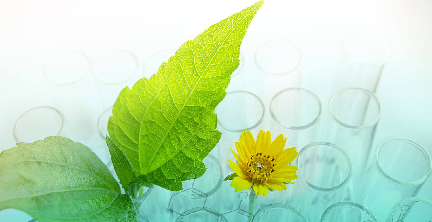 Photo of green leaf sprouts lab tubes and a daisy with an overlay of chemical compound drawings