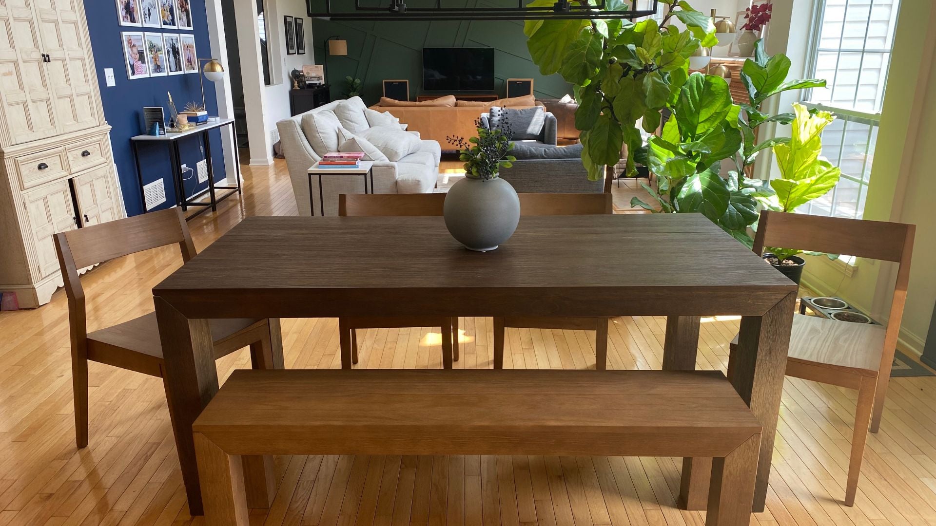 Modern wood dining table in walnut with solid wood dining chairs and solid wood dining benches in pecan with blue and green accent walls and greenery