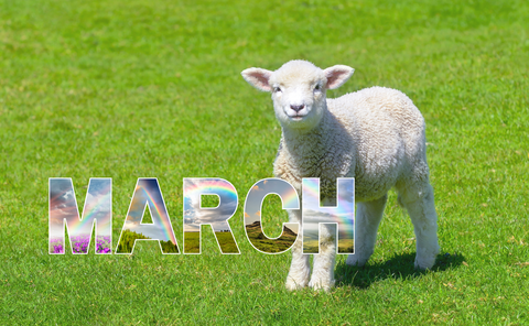 Graphic with an inquisitive lamb on the right standing on a field of bright spring green grass, overlaid with hollow block style letters spelling March. The outline of the letters is filled in with five different photos of rainbows.