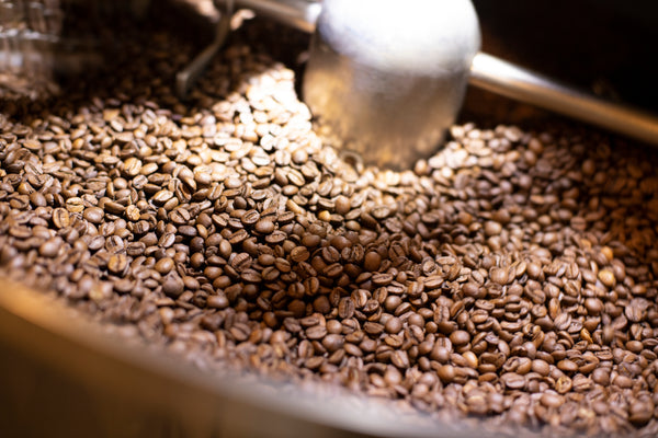 specialty coffee wholesaler