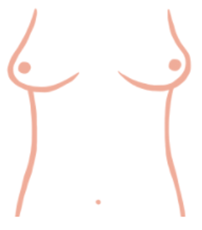 East West PLus size boob shape 