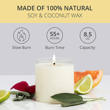 Load image into Gallery viewer, Candle Refill Luxury Scented Soy 8.5 oz Solstice
