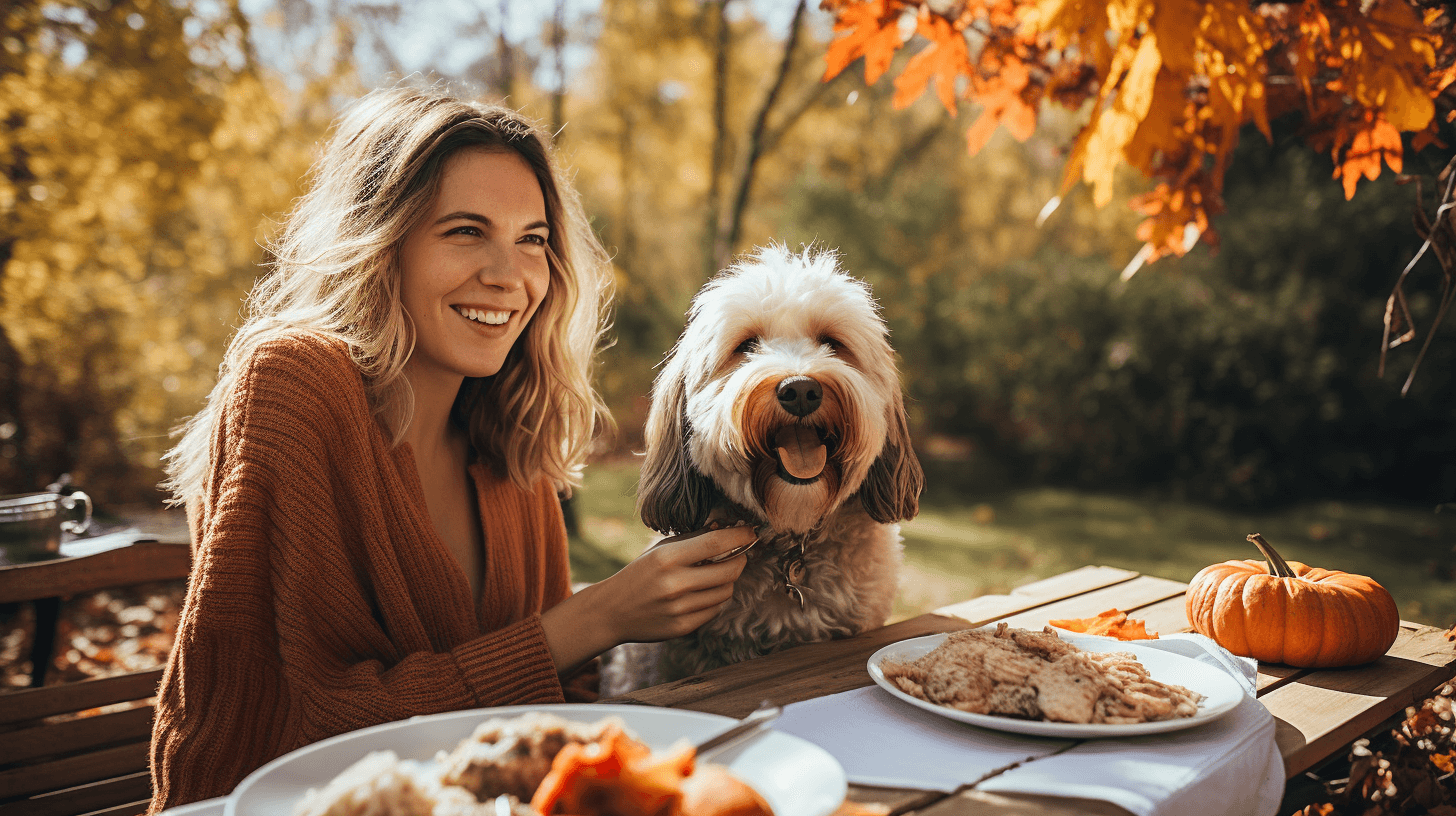 labradoodle superfoods