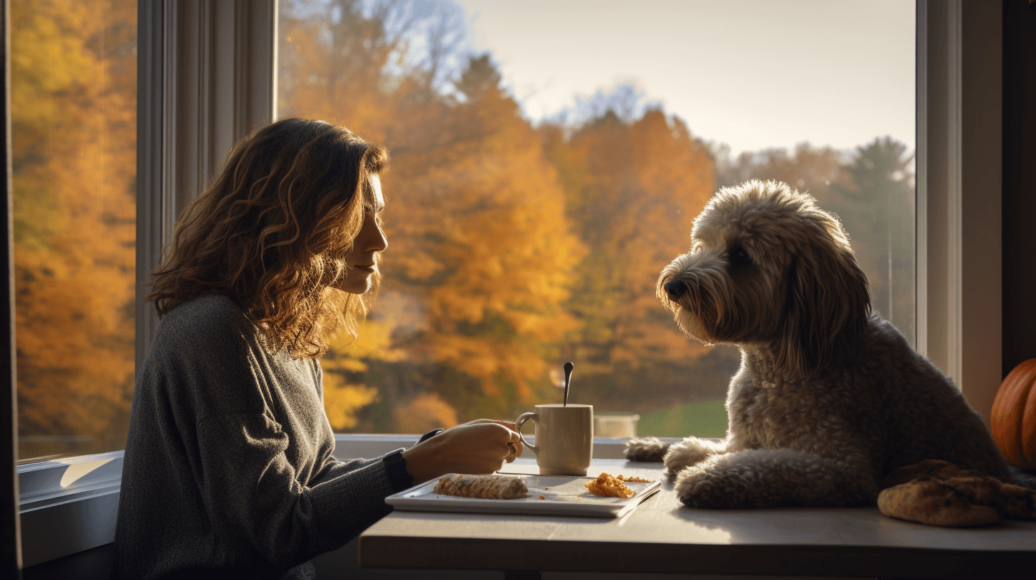 labradoodle pumpkin spice latte