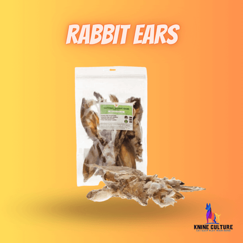 rabbit ears with hair