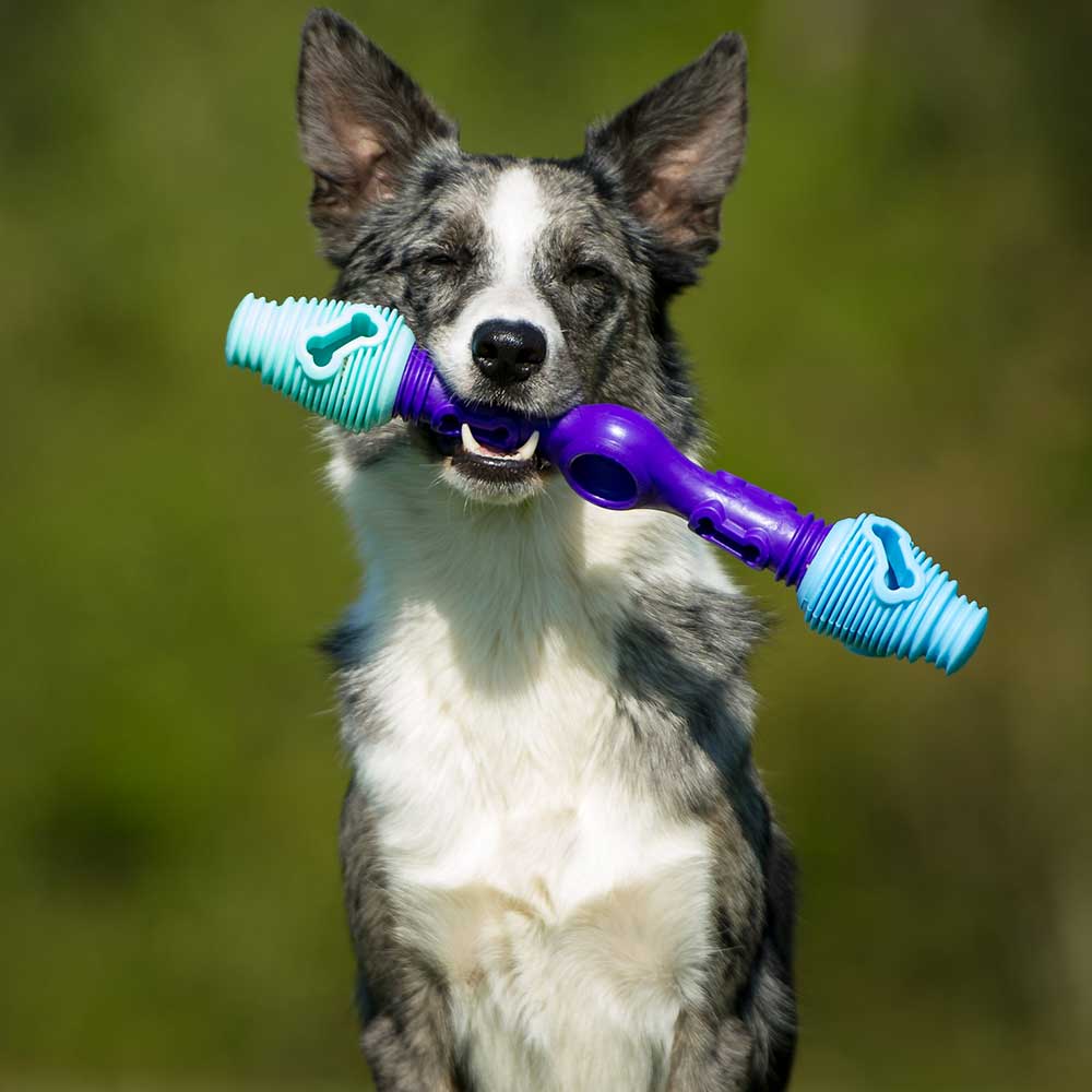 DORPETLY Dog Toys, Indestructible Dog Chew Toys for Aggressive Chewers,  Durable Tough Dental Treat Dispensing Dog