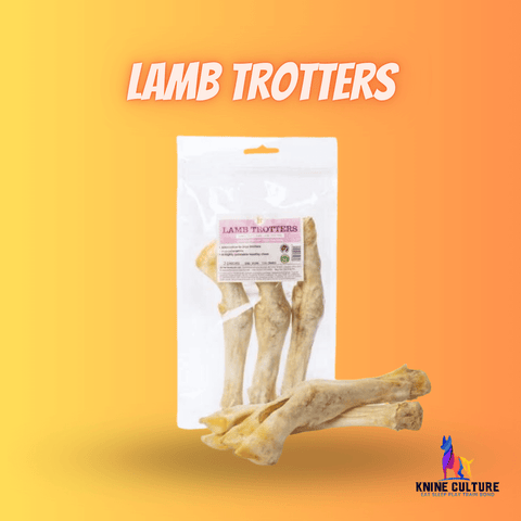 lamb dog treats