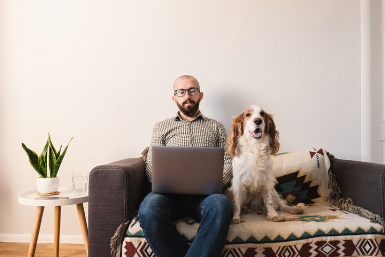 dog next to a man working on laptop