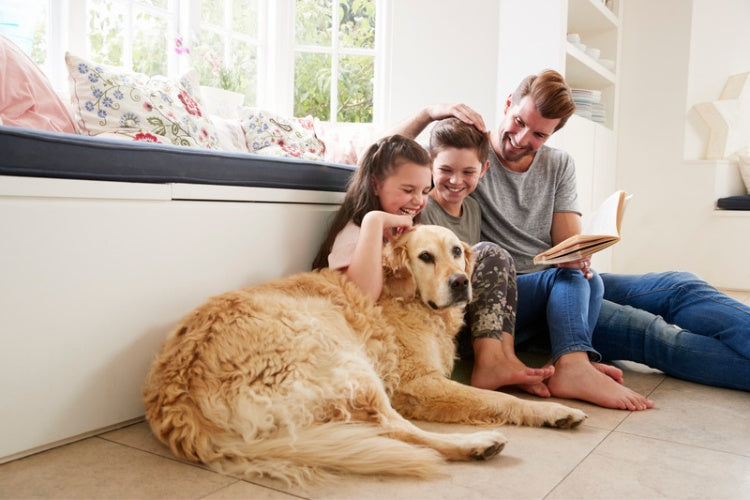 happy family with a dog 