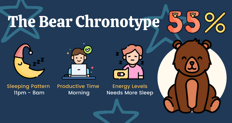 The Bear Chronotype