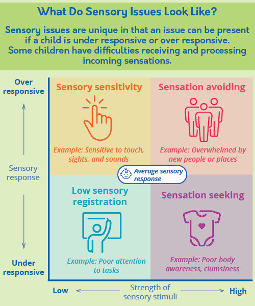 Sensory Integration Scale