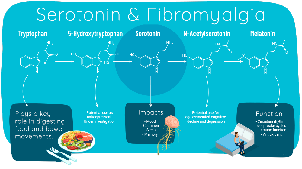 Serotonin Fybromyalgia