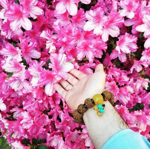 Himalayan Rudraksha bracelet are worn by many