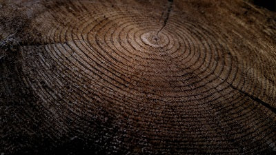 The sandalwood spiritual benefits tree