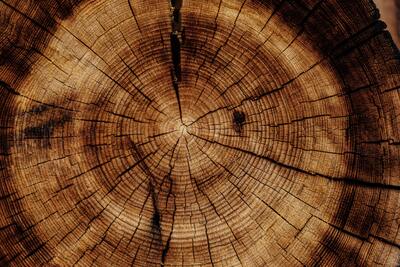 Wood Spiritual Meaning