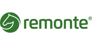 Remonte Shoes