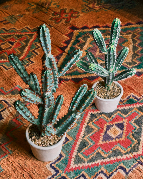 Tivoli Artificial Cactus – Crane Living