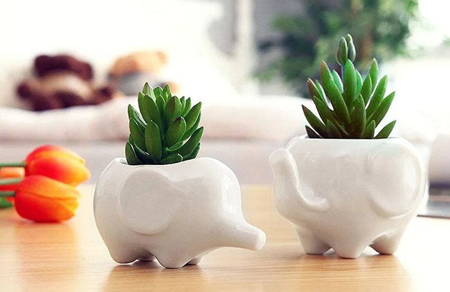 Elephant ceramic flower pot with tray - ZenQ Designs