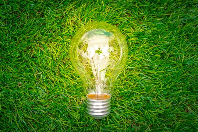 Light bulb into the grass - ZenQ Designs