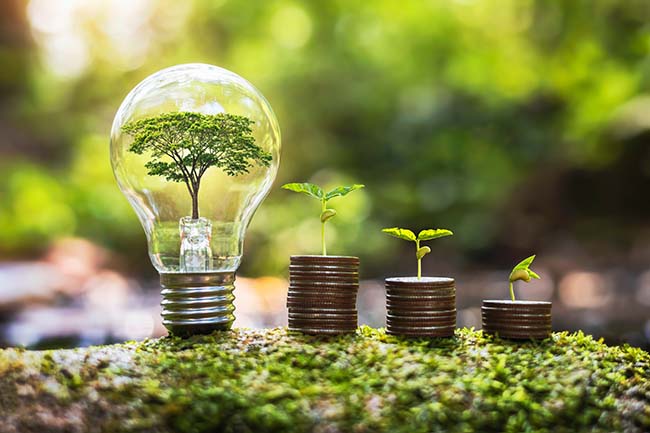 Light bulb with growing plant and stack of coins - ZenQ Designs
