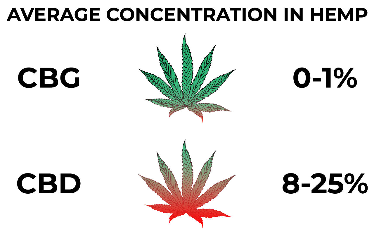 Image comparing average concentration of CBG and CBD in hemp plants.