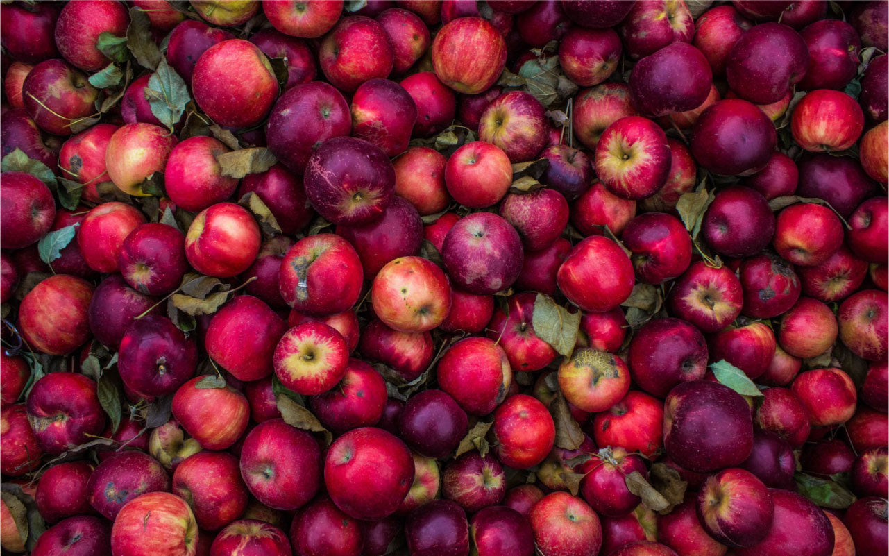 Image of apples.