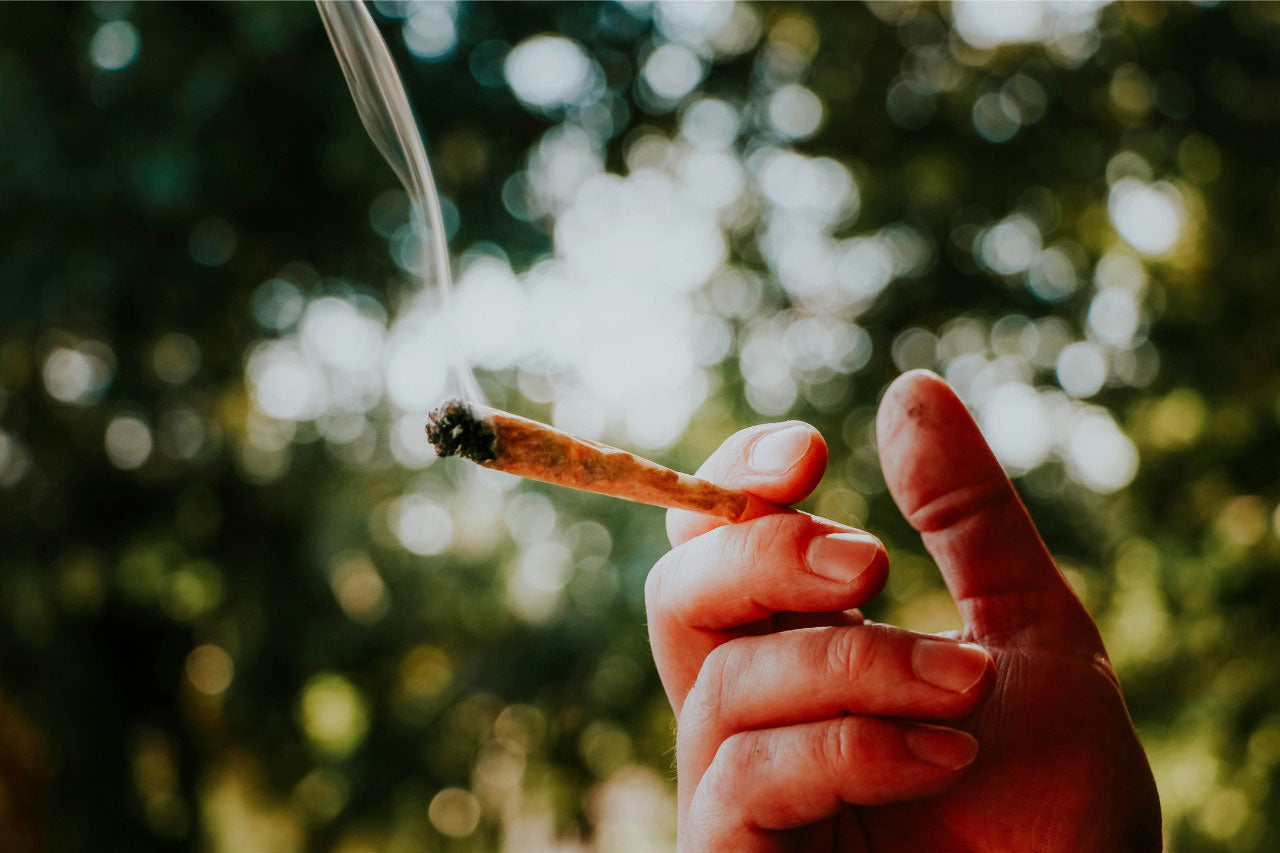 Image of a hand holding a burning cannabis joint.