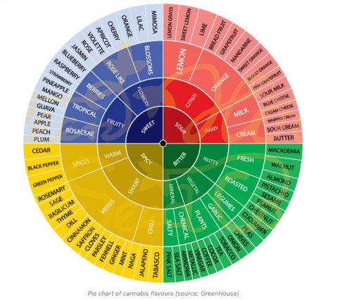 Cannabis and Hemp strains each have unique terpene profiles that contribute to unique aromas and flavors.  Full Spectrum CBD Concentrates are terpene rich compared to broad spectrum concentrates. Learn more at Sauce Warehouse 