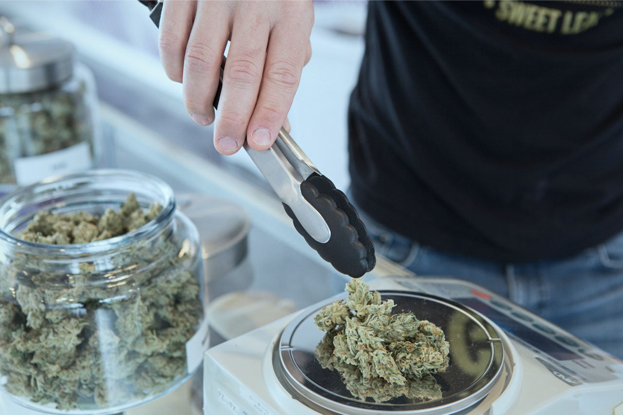 Image of a budtender weighing cannabis in a dispensary.