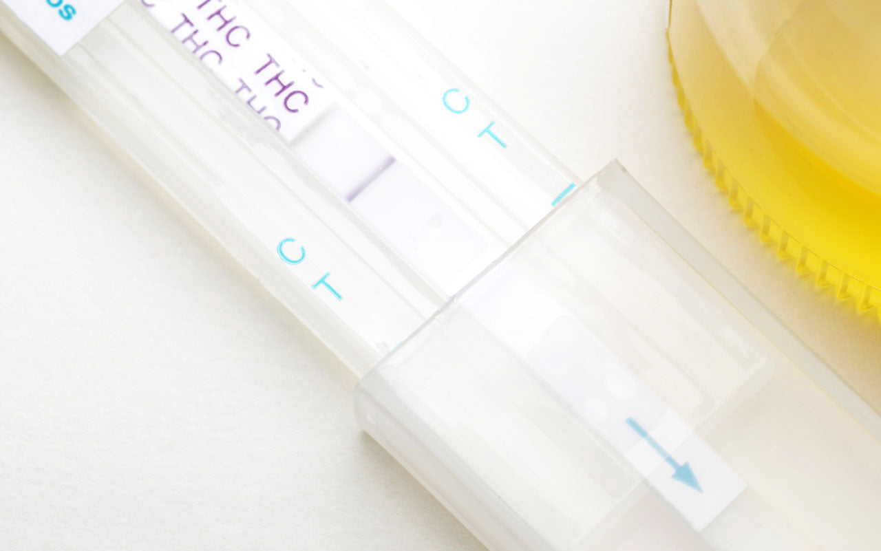 Image of a THC drug test strip.