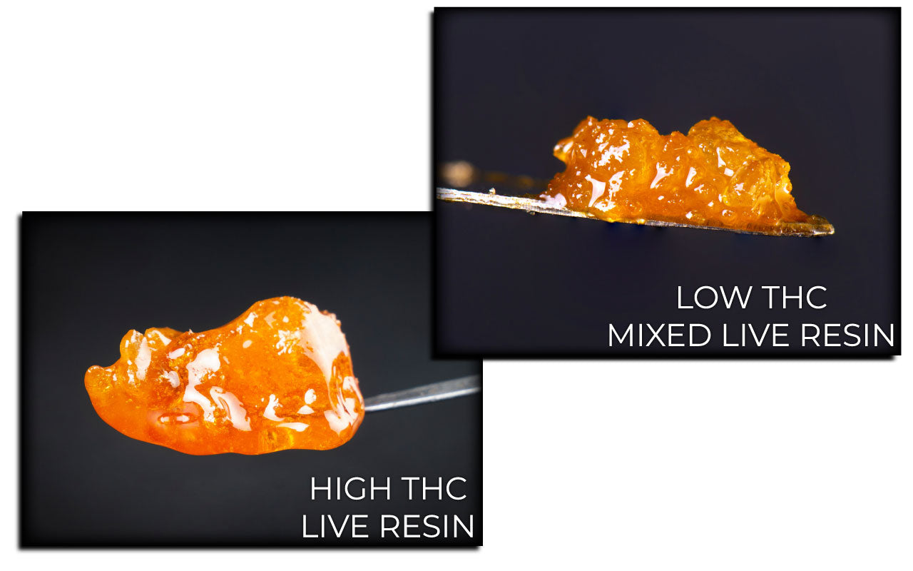 Side by side image comparison of high THC and low THC live resins. 
