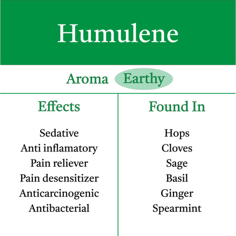Graphic listing the effects of the terpene Humulene and the plants in which it is found