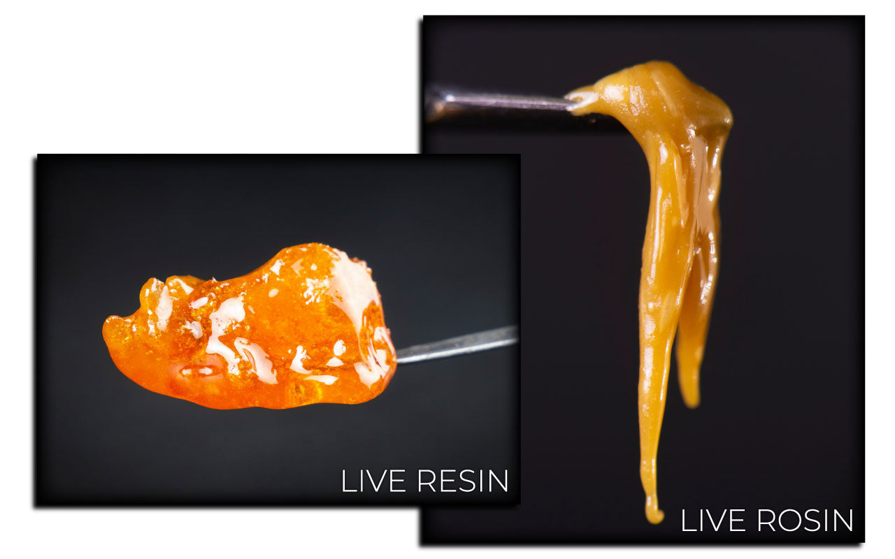 Side by side image comparison of live resin and live rosin.