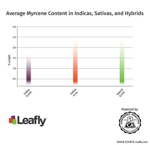 Average Myrcene content among indica, sativa, and hybrid strains