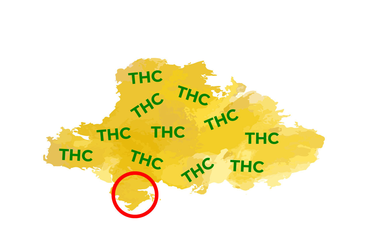 Illustration of high THC concentrate with small amount highlighted.