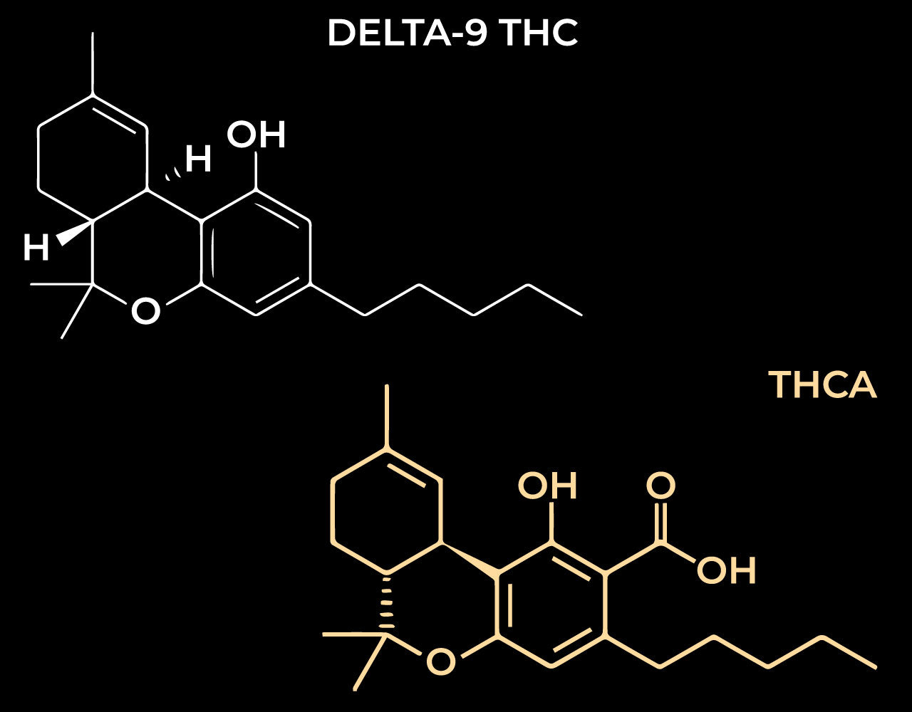 Informational graphic featuring the Delta-9 THC and THCa molecular structures.