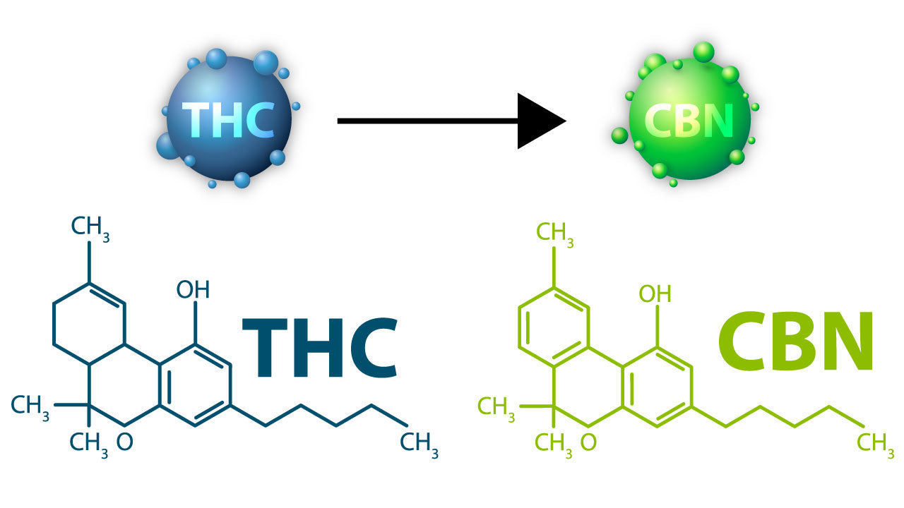 Image portraying the conversion of THC to CBN.