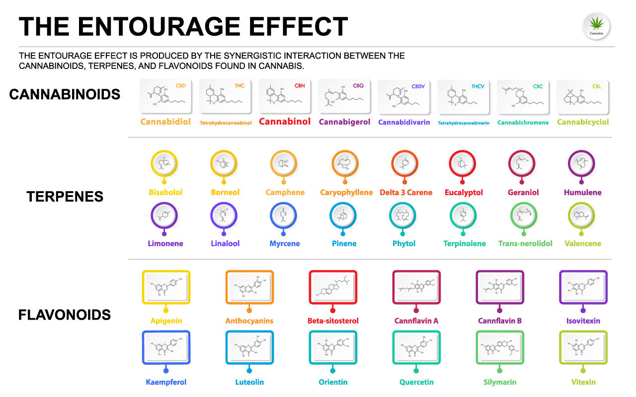Image showing the cannabinoids, terpenes, and flavonoids that create the entourage effect.