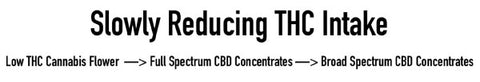 When quitting cannabis or taking tolerance breaks, a smooth transition from high THC use to no THC use can be experienced by moving from hemp flower to full spectrum cbd concentrates, and finally broad spectrum cbd concentrates. 