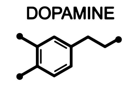 Dopamine is the primary factor in Cannabis tolerance and addiction. Long term Cannabis use can cause a decrease in dopamine in the brain. 