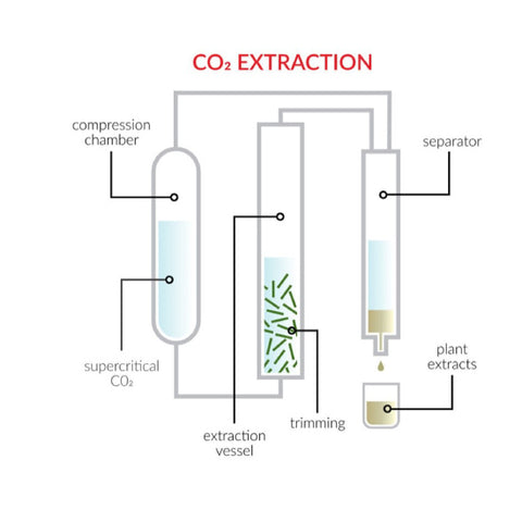 CBD wax can be created using different extraction methods. Some argue CO2 extraction is the cleanest. What is CBD Wax? Visit our blog to learn more at Sauce Warehouse!